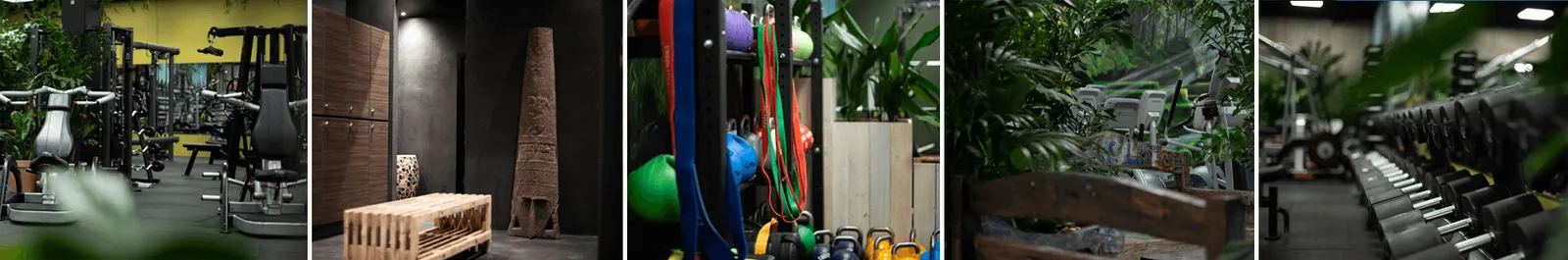 Zen Fitness Silkeborg — træningsstudio-studio i Alderslyst, Silkeborg — bild 2
