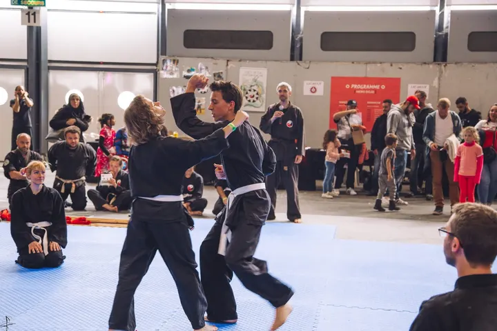Club Triskel Dong Haï — arts martiaux-studio à Grenoble — 3