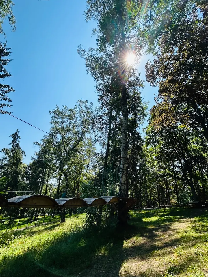 Ecopark Adventures - Forbach — arts aériens-studio à Forbach — 3