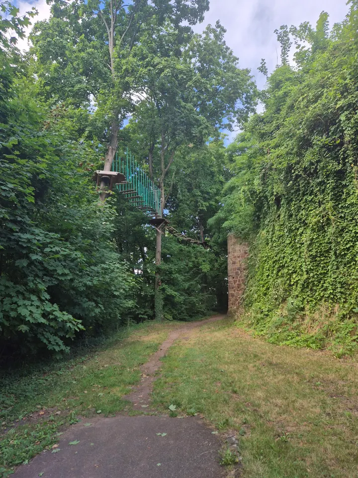 Ecopark Adventures - Forbach — arts aériens-studio à Forbach — 5