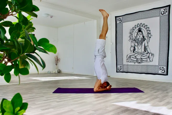 Yog Temple Shamanism Ashram Sweden — yoga-studio i Virserum — 4
