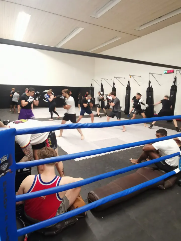 Combat Club Bonn — Boxen in Bonn-Castell, Bonn