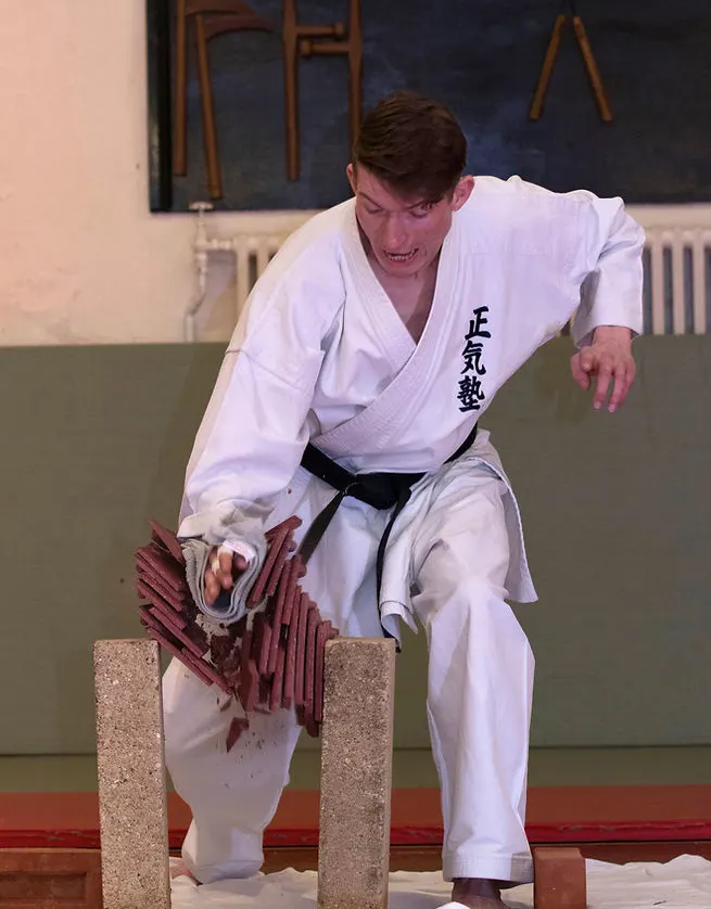 Shoden Martial Arts — Martial Arts in Hook, Chessington