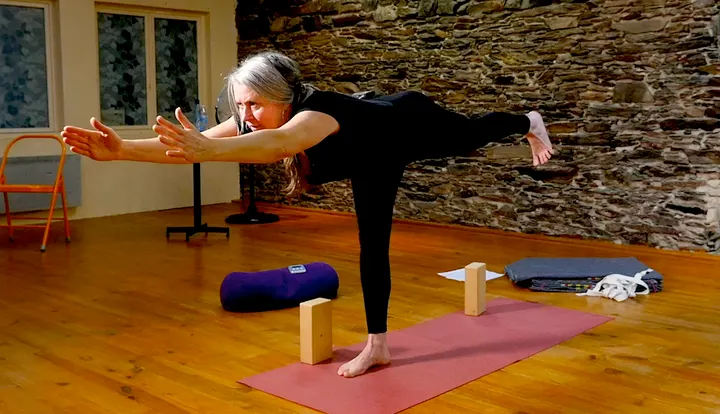 Studio Yoga Iyengar Nantes Severine Leroy — yoga-studio à République - Les Ponts, Nantes — 2