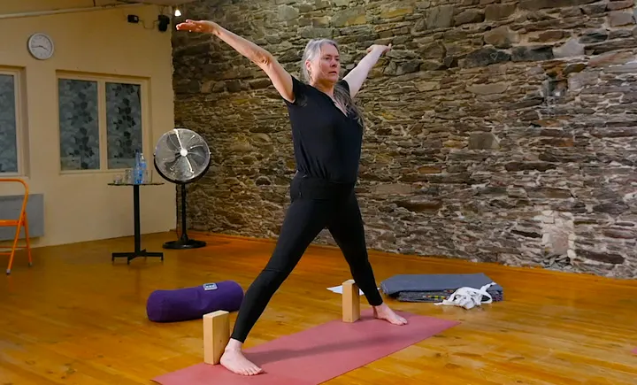 Studio Yoga Iyengar Nantes Severine Leroy — Yoga à République - Les Ponts, Nantes