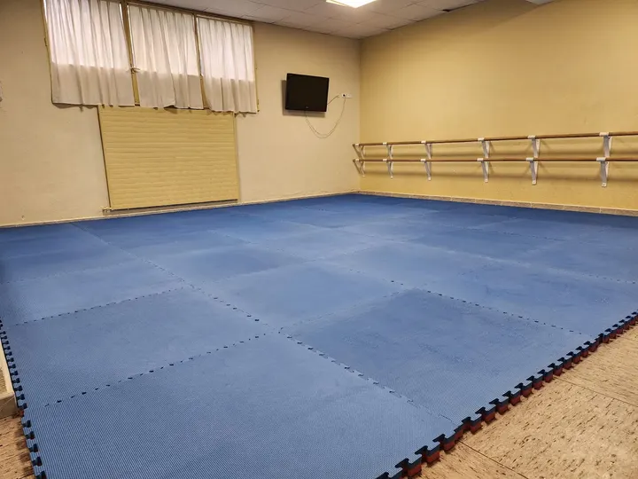 Aikido — Artes marciales en La Moraleja, Alcobendas