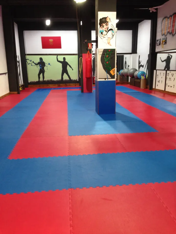 Dojang Hwarang — artes marciales-studio en San Jorge, Pamplona — 3