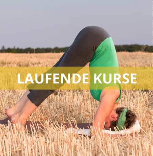 Sonja Fürst Raum für Biosynthese — yoga-studio in Stadtrandsiedlung, Erlangen — 2