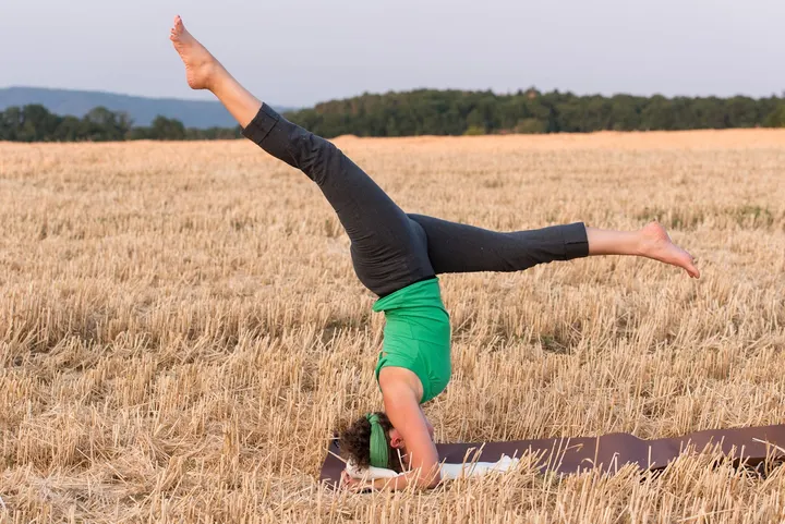 Sonja Fürst - Raum für Yoga & Biosynthese — Yoga in Stadtrandsiedlung, Erlangen