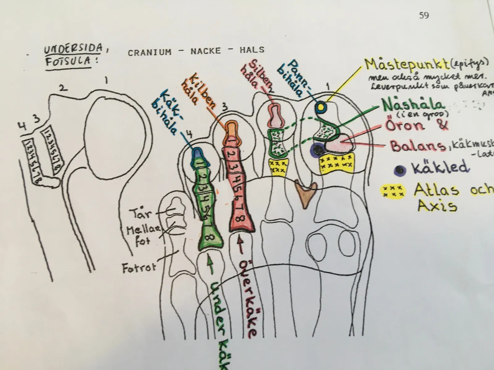 YogaZon Yoga Borgholm — yoga-studio i Borgholm — bild 2
