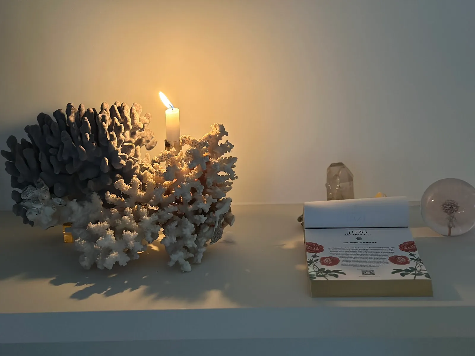 Thyme & Divine — meditation-studio in Bayenthal, Köln — 2