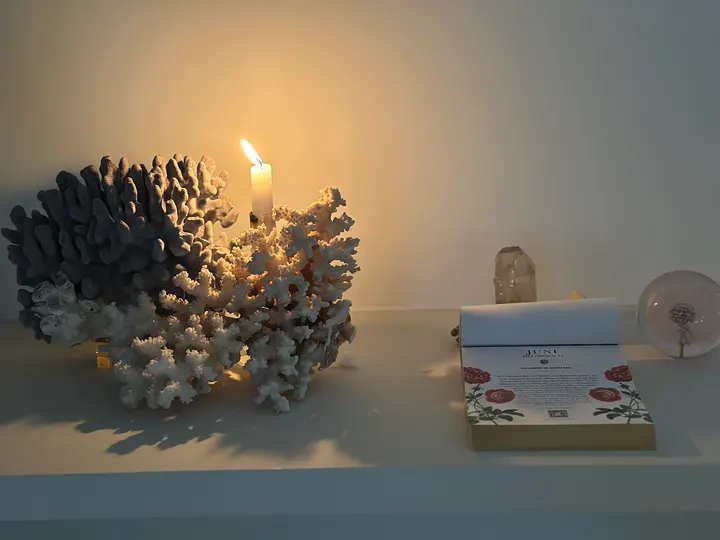 Thyme & Divine — meditation-studio in Bayenthal, Köln — 2