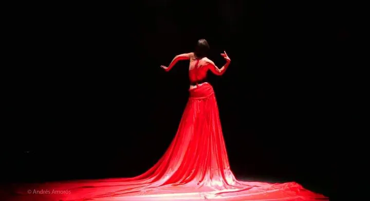 Estudio Cristiane Azem Danza Y Arte — baile-studio en Madrid — 5