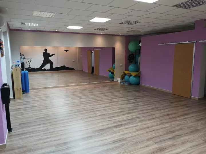 Sala Multiactividad Fisioterapia Miguel Angel — pilates-studio en Santa María de Benquerencia, Toledo — 2
