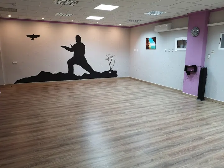 Sala Multiactividad Fisioterapia Miguel Angel — Pilates en Santa María de Benquerencia, Toledo
