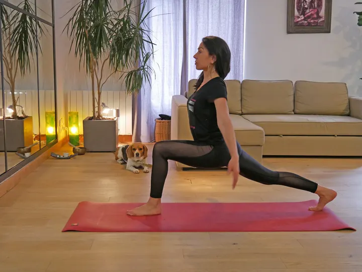 Omniyama Yoga — Yoga à Dobrée - Bon Port, Nantes