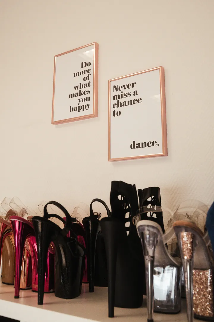 Aerial Clinic — pole fitness-studio in Bottrop — 3