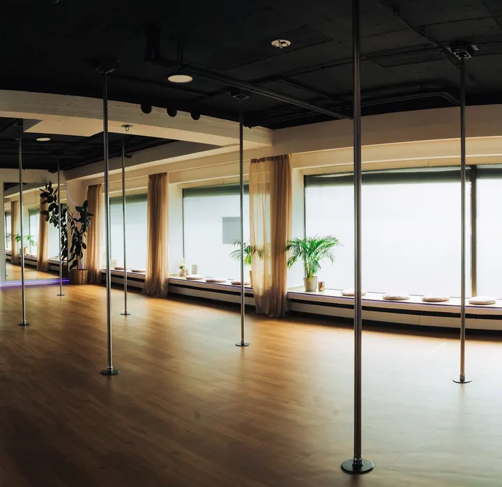 Aerial Clinic — Tanz in Eigen, Bottrop