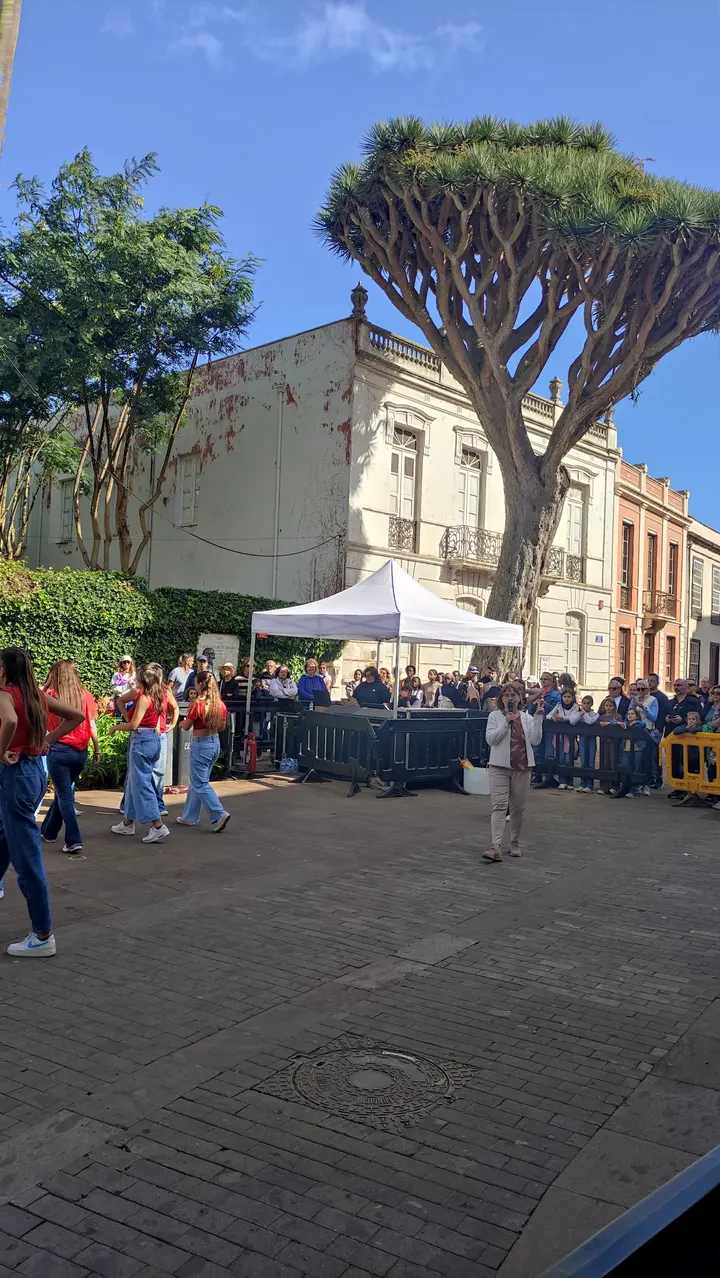Escuela De Danza Lenita Lindell — baile-studio en San Honorato, La Laguna — 2