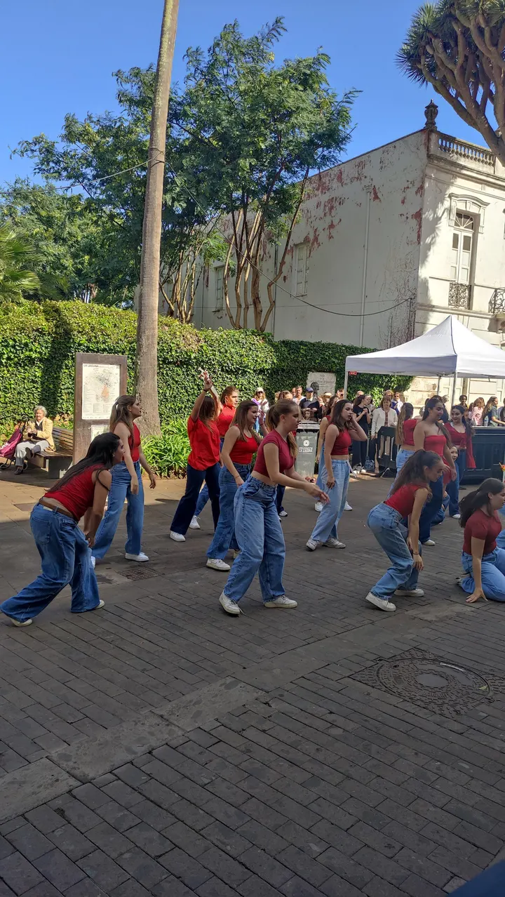 Escuela De Danza Lenita Lindell — baile-studio en San Honorato, La Laguna — 3