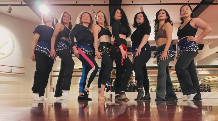 Dareen Belly Dance Academy Haarlem — Dans in Haarlem