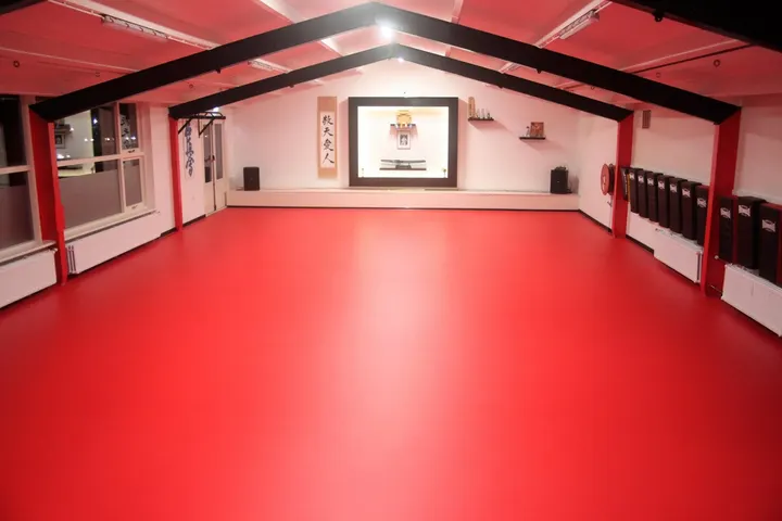 Budokai van Zanten — Vechtsport in Dordrecht