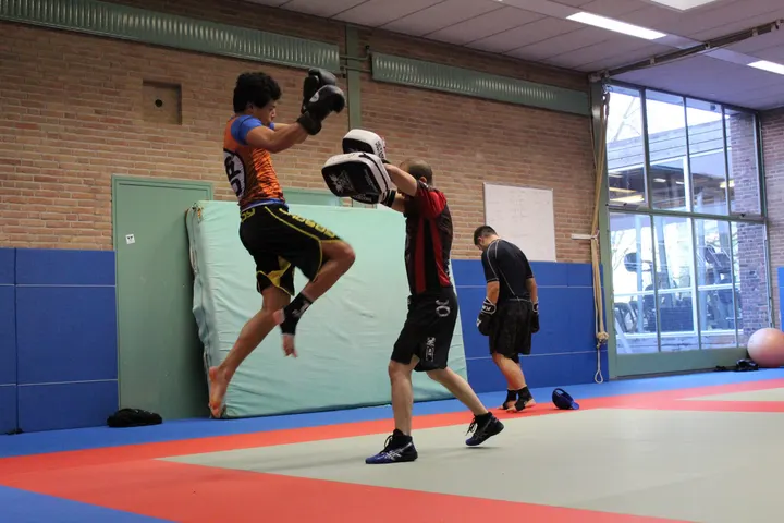 Deltaserat — MMA in West, Groningen