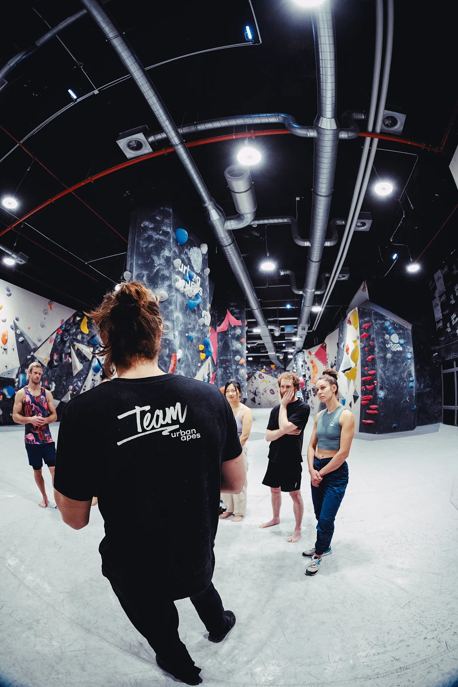 urban apes Lübeck — bouldering-studio i Lübeck — 2