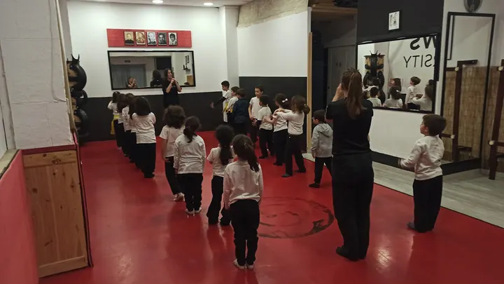 TAOWS ACADEMY C. Santo Tomás de Villanueva — artes marciales-studio en Ronda, Granada — 2