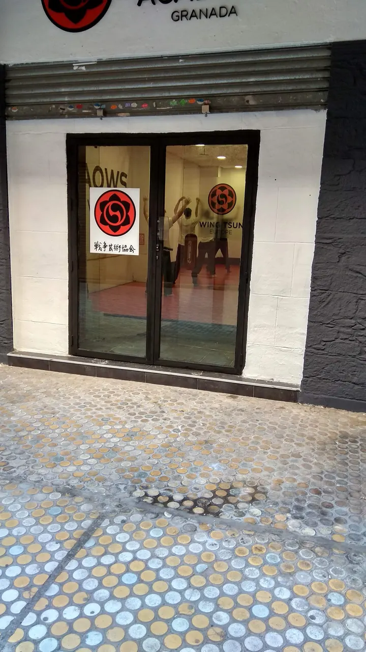 TAOWS ACADEMY C. Santo Tomás de Villanueva — artes marciales-studio en Granada — 4