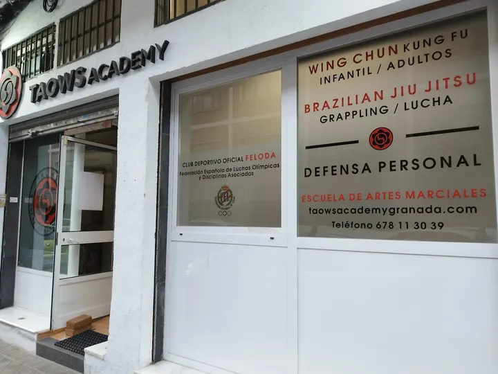 TAOWS ACADEMY C. Santo Tomás de Villanueva — Artes marciales en Ronda, Granada