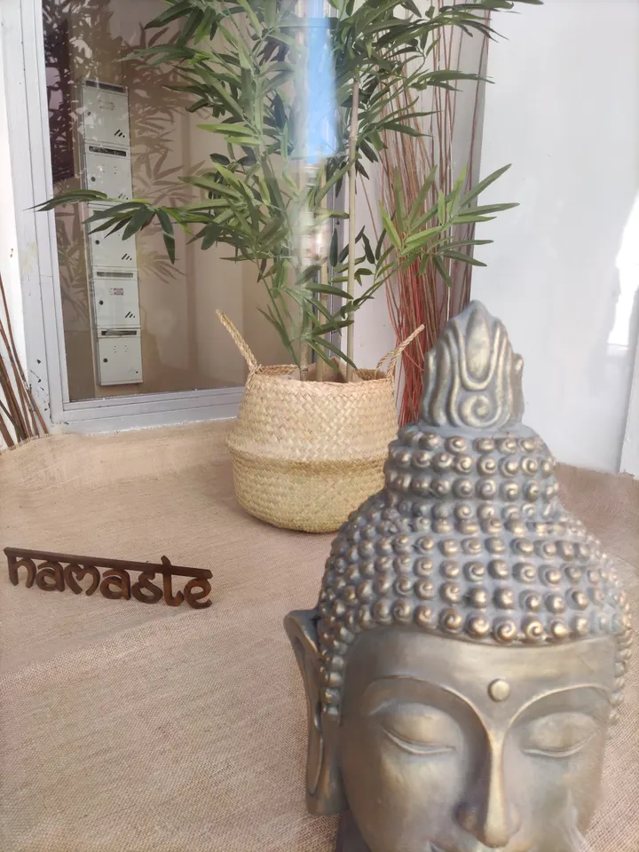 Escuela De Yoga Ganesha — yoga-studio en Centro, Valladolid — 2