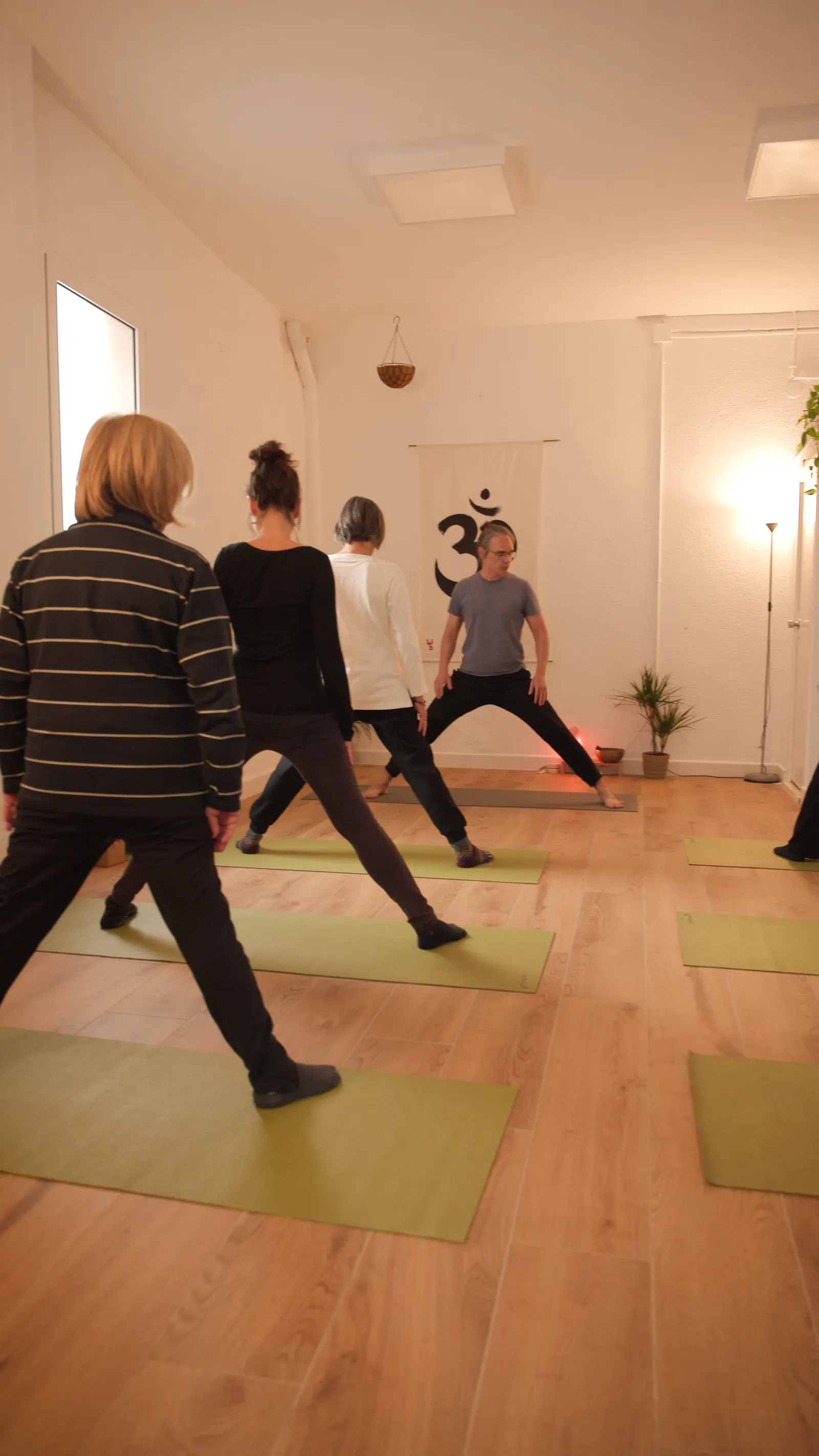 Centre Guia. Ioga I Acupuntura. — yoga-studio en Cardedeu — 4