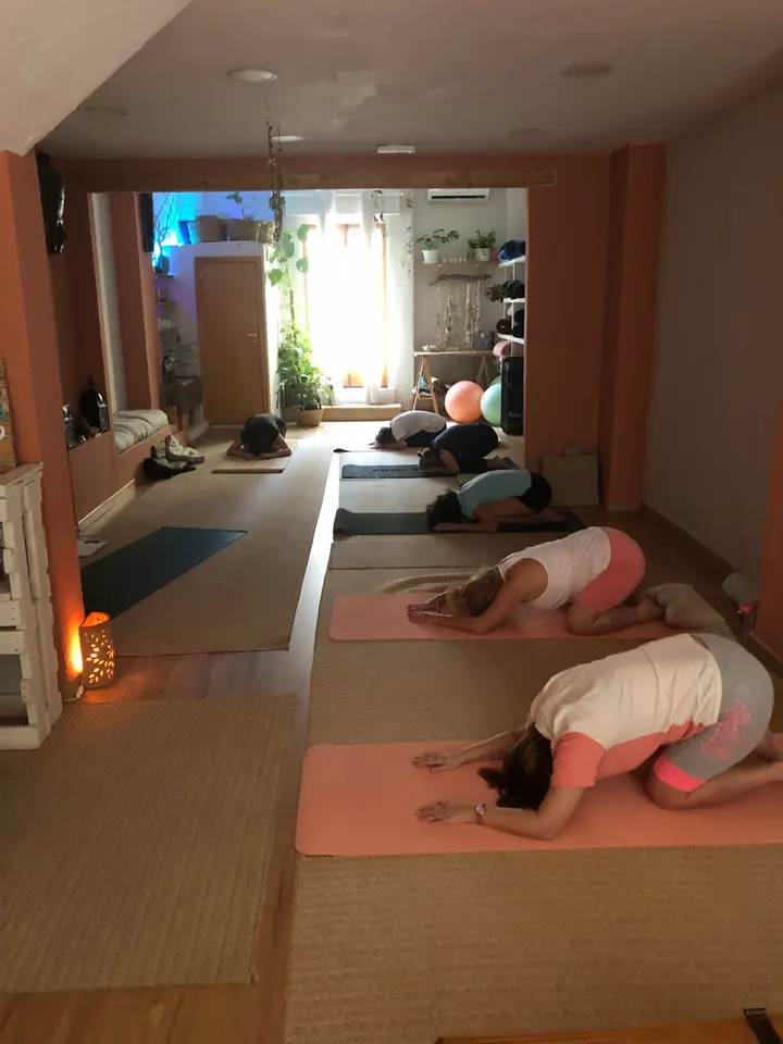 Escuela Yoga Raices — Yoga en Benidorm
