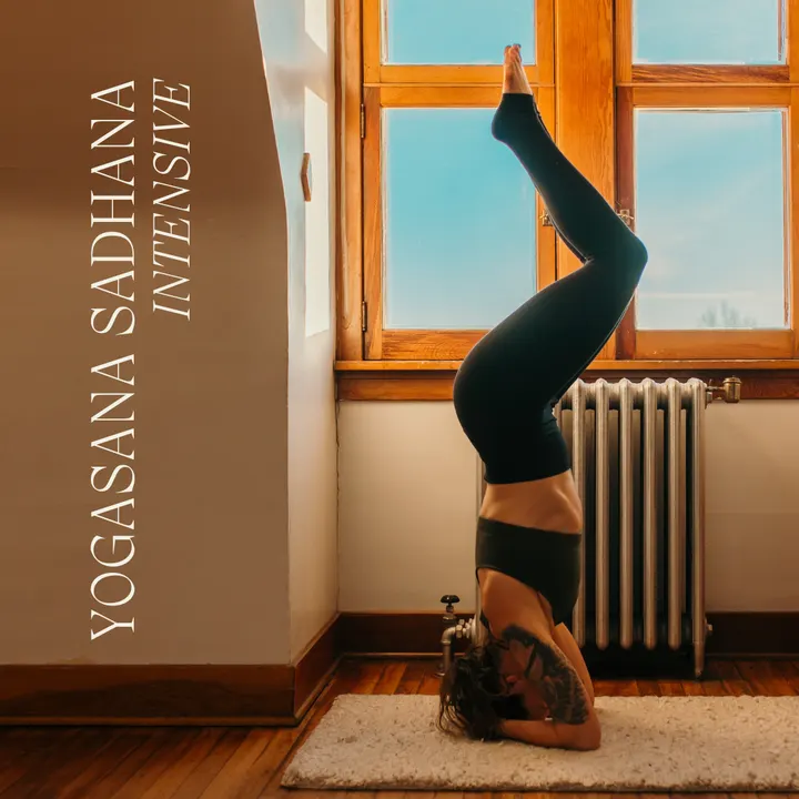 MY YOGA ROOM — yoga-studio i Limhamn, Malmö — 3