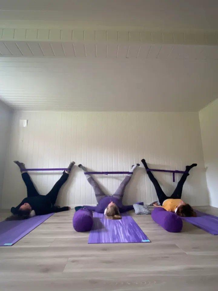 Citrus Ernæring og Yoga Gunn Helene Arsky — yoga-studio i Halden — 5