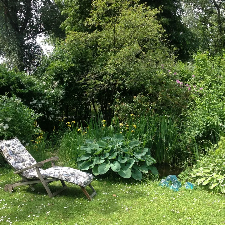 Yoga Dhyana — yoga-studio in Linschoten — 2