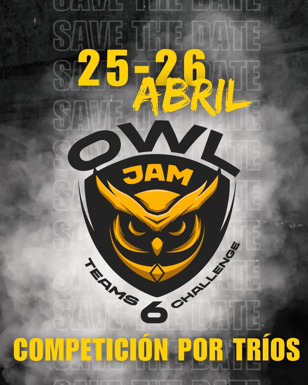 Owl Gymnastic — träningsstudio-studio i Móstoles — bild 2