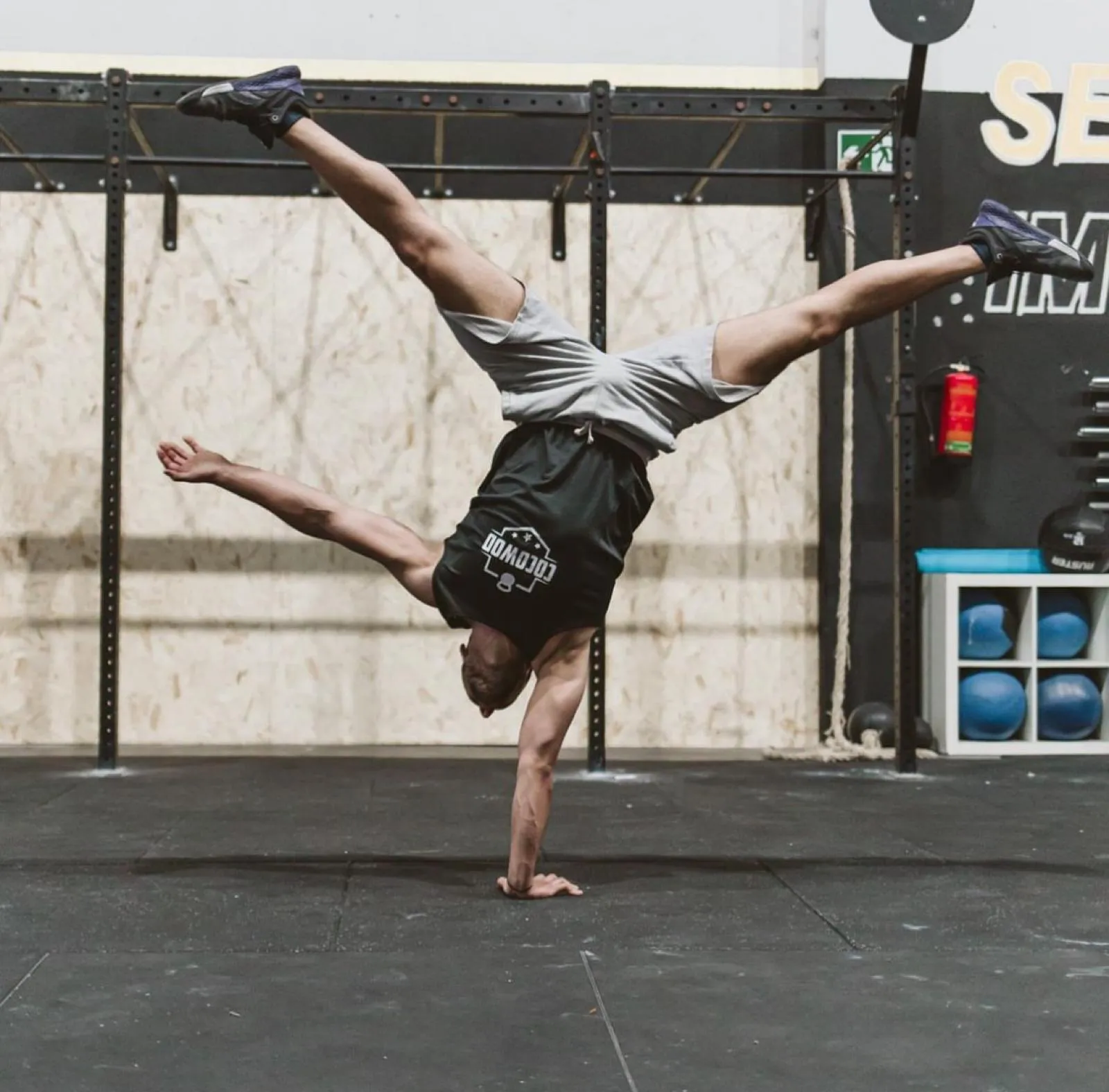 Owl Gymnastic — träningsstudio-studio i Móstoles — bild 4