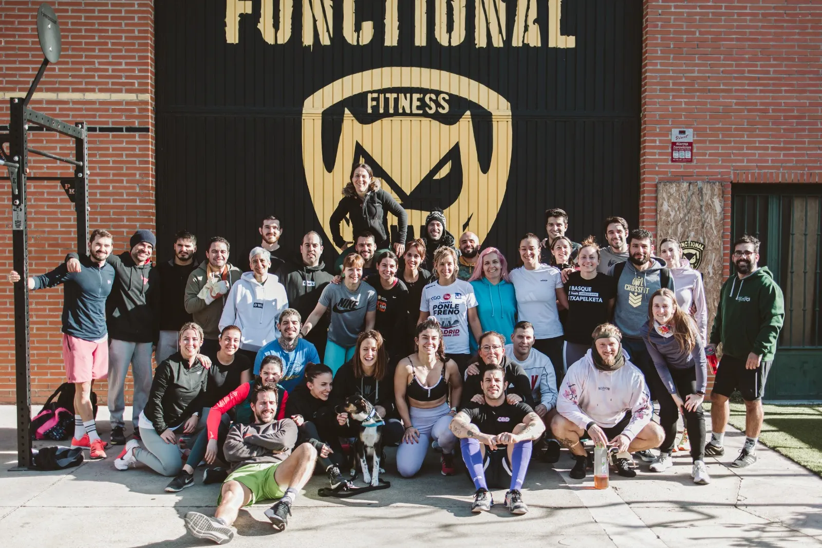 Owl Gymnastic — träningsstudio-studio i Móstoles — bild 5