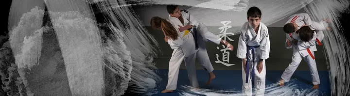 Escola de Judo Ana Hormigo — artes marciais-studio em Castelo Branco — 3