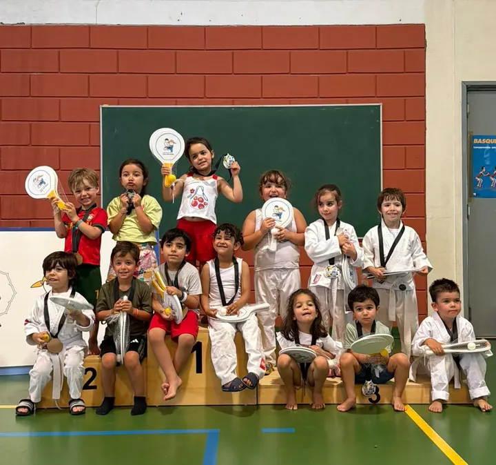 Escola de Judo Ana Hormigo — artes marciais-studio em Castelo Branco — 4