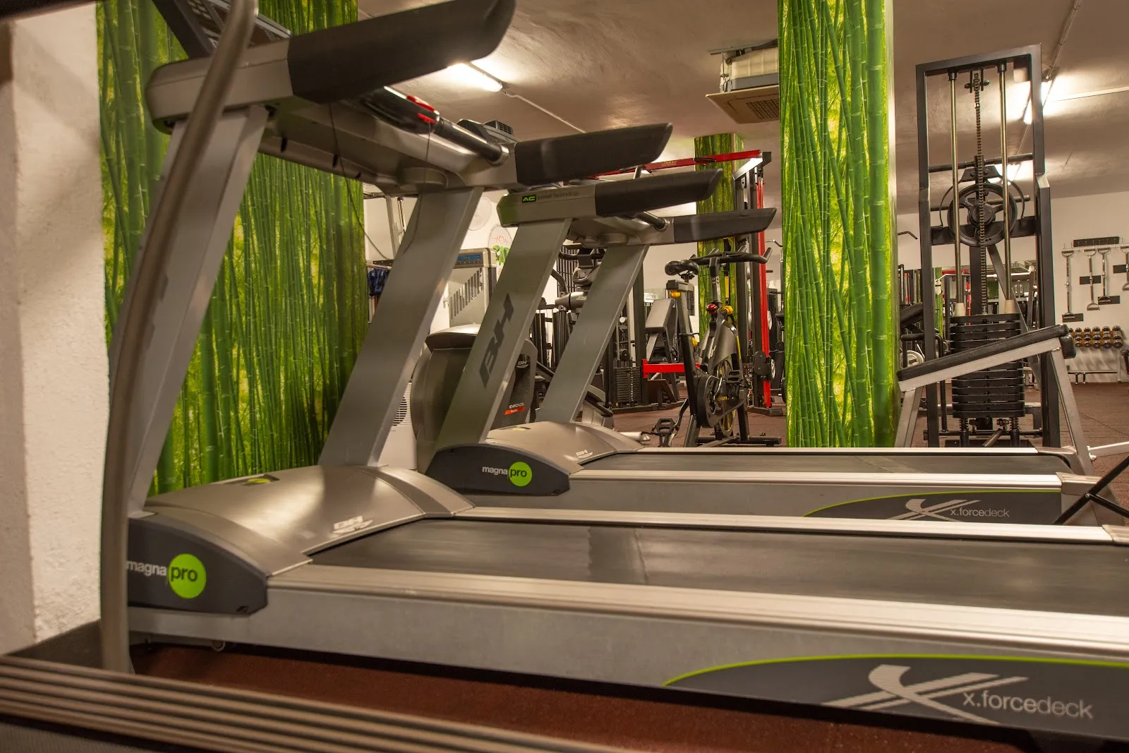 CAF GYM Centro de Rehabilitación, Acondicionamiento Físico y Salud — estudio de fitness-studio en Barris Marítims, Tarragona — 2