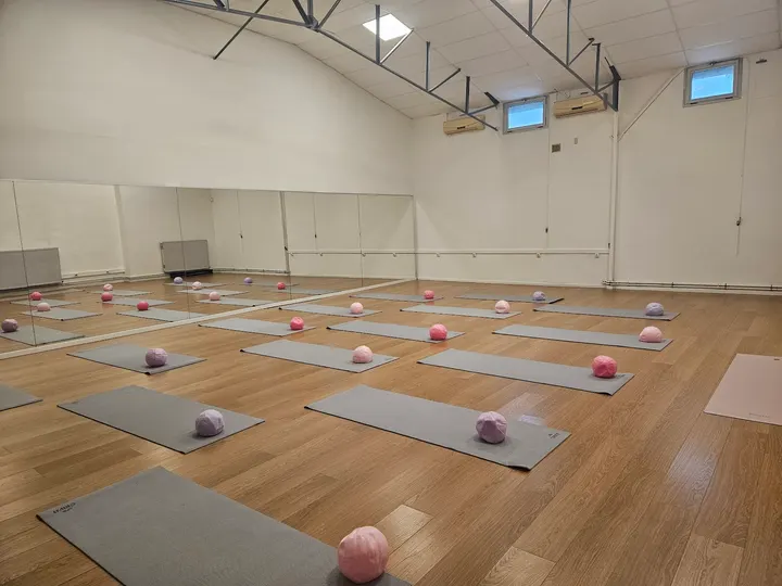 École de danse Clémentine Luminet — danse-studio à Lyon — 4