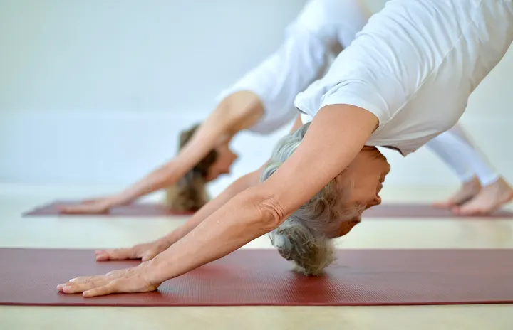 Sivananda Yoga — Yoga in Dottendorf, Bonn