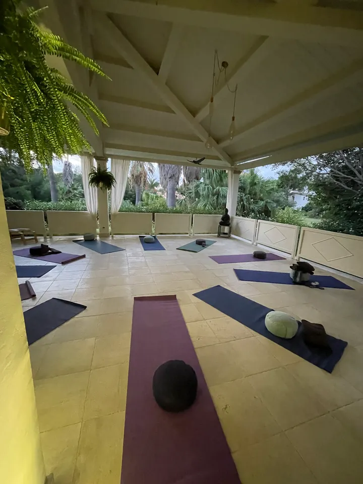 wellBEing - Donna Danton — yoga-studio in Düsseldorf — 4
