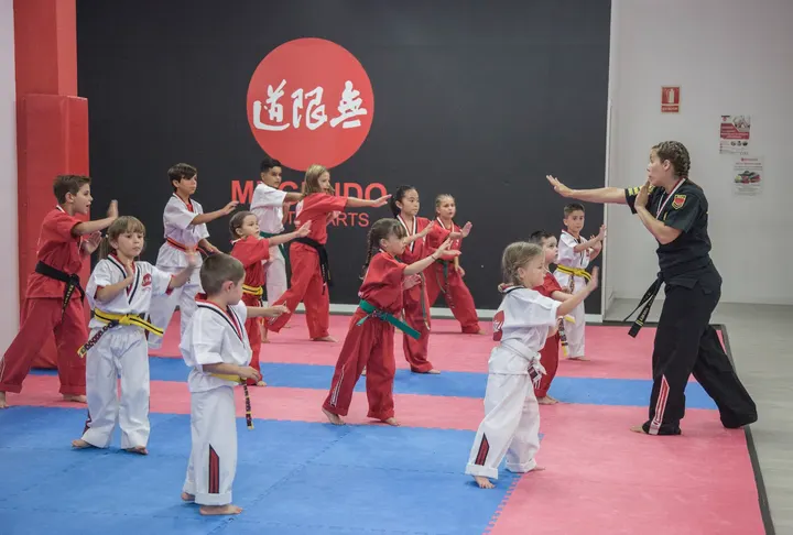 Mugendo Artes Marciales La Laguna — artes marciales-studio en La Laguna — 3