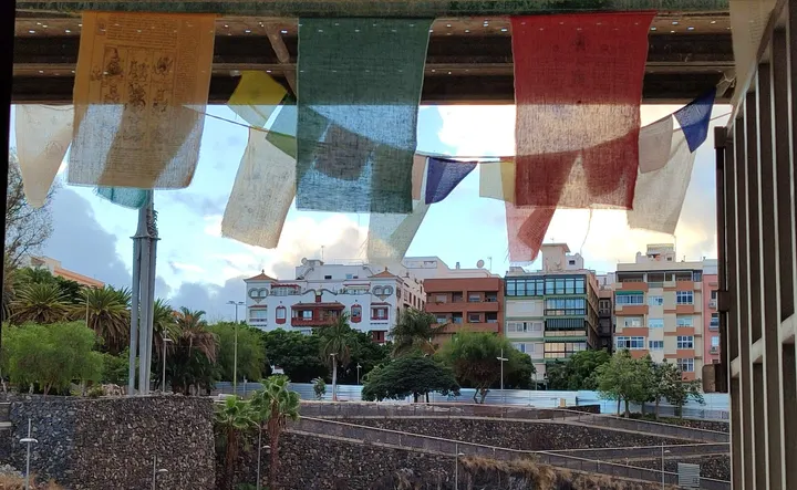 Rigpa Tenerife — meditación-studio en Duggi, Santa Cruz de Tenerife — 2