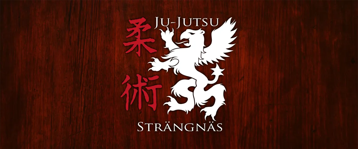 Strängnäs Ju-jutsu förening — kampsport-studio i Enhammar, Strängnäs — bild 2