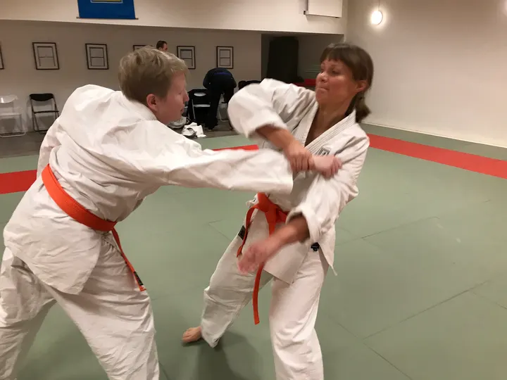 Strängnäs Ju-jutsu förening — kampsport-studio i Strängnäs — 3